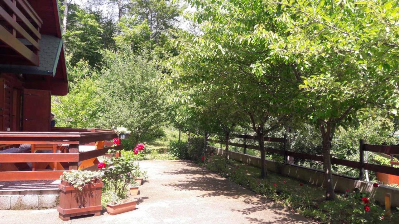 Crkvine Chalet Kolasin Ngoại thất bức ảnh